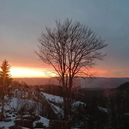 Ivkovic Milmari N16 * 科帕奥尼克