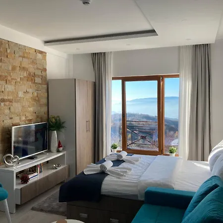 Ivkovic Milmari N16 公寓 科帕奥尼克