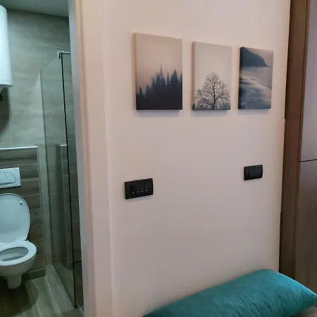 公寓 Ivkovic Milmari N16