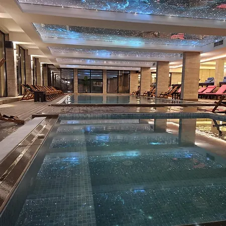 Ivkovic Milmari N16 * 科帕奥尼克