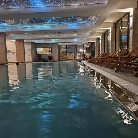 Ivkovic Milmari N16 * 科帕奥尼克