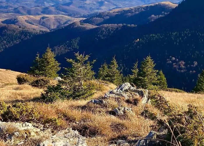 Ivkovic Milmari N16 * Kopaonik