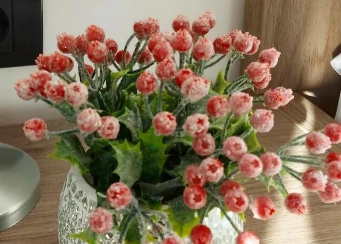 Apartman Ivkovic Milmari N16 *