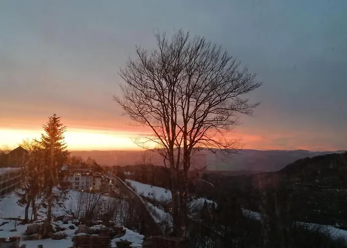 Ivkovic Milmari N16 * Kopaonik