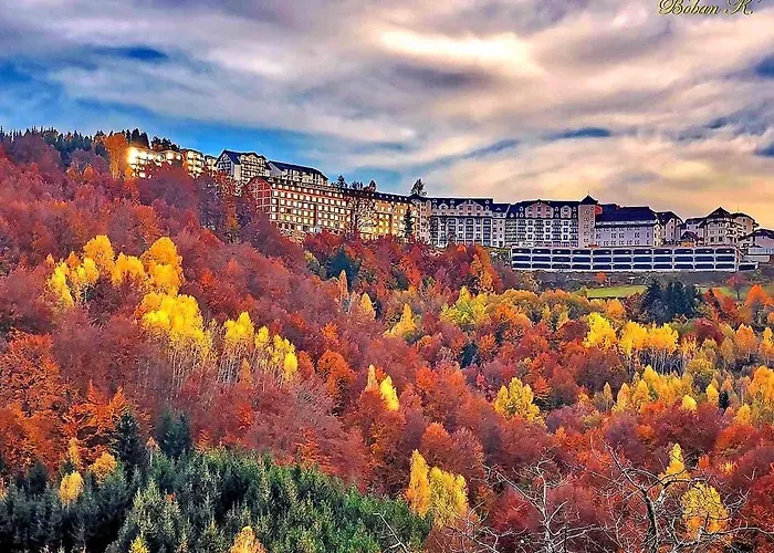 Ivkovic Milmari N16 *