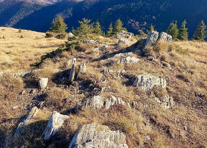 Apartman Ivkovic Milmari N16 Kopaonik