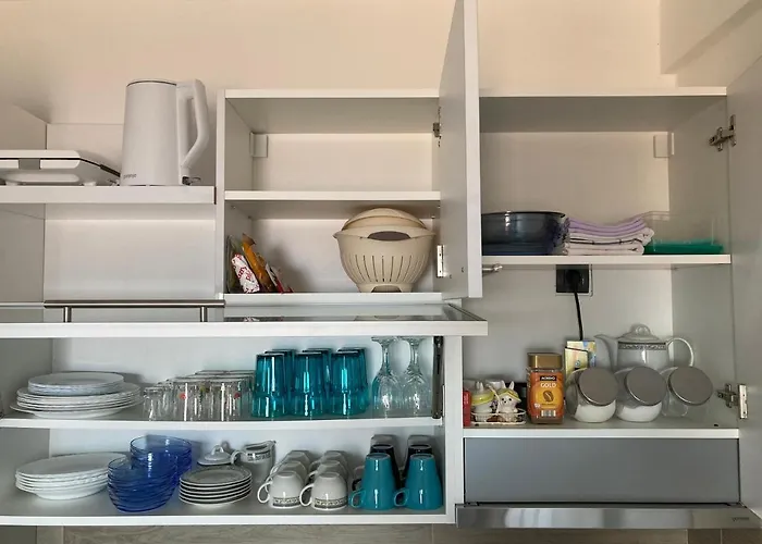 Ivkovic Milmari N16 *